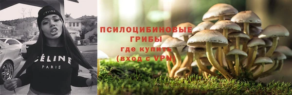 марки lsd Богданович