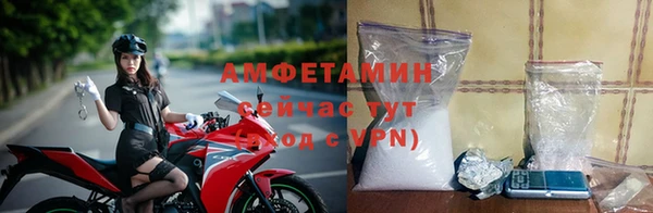 дживик Богородск