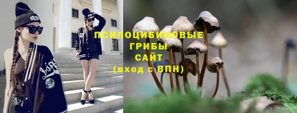 дурь Богородицк