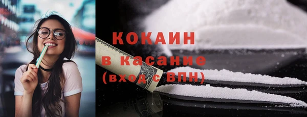 дживик Богородск