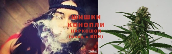 дурь Богородицк