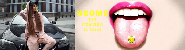 дживик Богородск