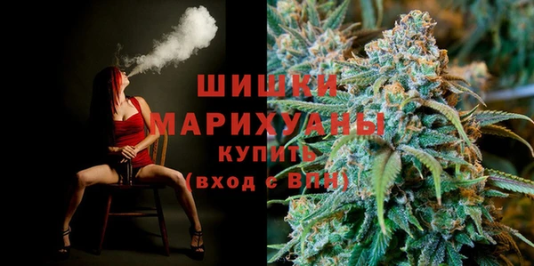 дурь Богородицк