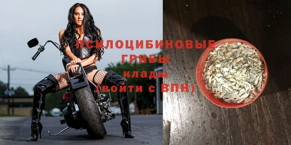 марки lsd Богданович