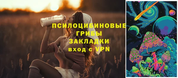марки lsd Богданович