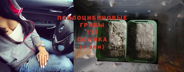 дурь Богородицк