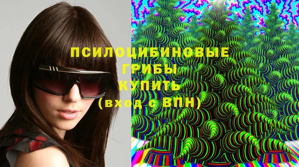 марки lsd Богданович