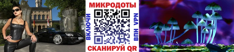 Псилоцибиновые грибы Cubensis  Купить  Серафимович 